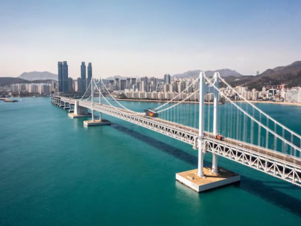 Private Busan Food Tour From Busan Cruise Port