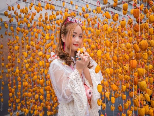 Half-Day Dalat Cloud Gazing Tour