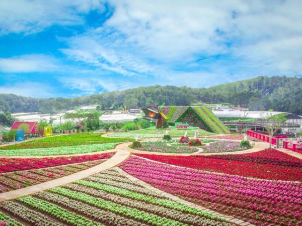 Private Half-Day Dalat Countryside Tour