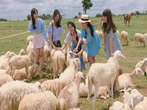 나트랑에서 Nam Cuong 모래 언덕까지 개인 투어
