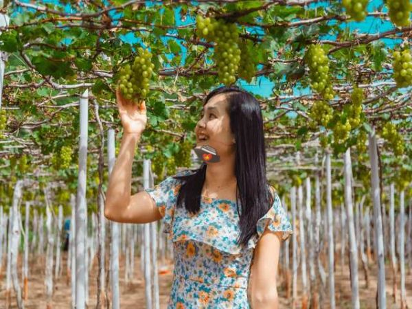 Private Tour To Tanyoli Ninh Thuan From Nha Trang