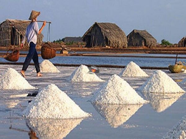 5D4N Package Trip From Incheon To Mui Ne Vietnam