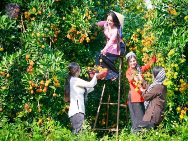 14 Days Vietnam Tour From Ho Chi Minh City