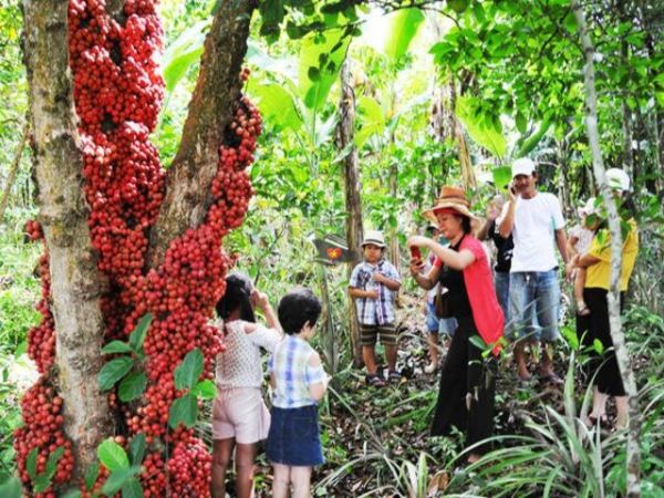 Private Tour Discover Van Hoa Plateau From Phu Yen