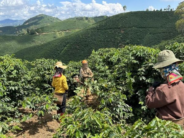 Nha Trang Coffee Tour