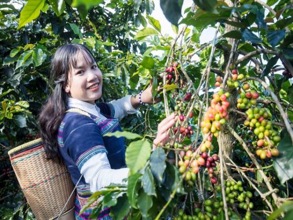 Nha Trang Coffee Tour