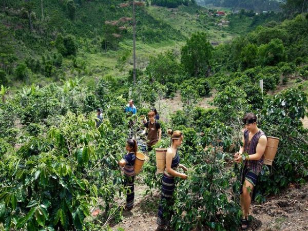 Nha Trang Coffee Tour