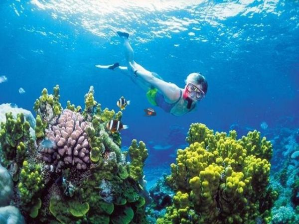 Nha Trang Ocean Excursions Spa Tour