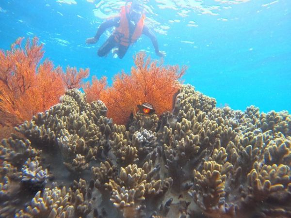Private Nha Trang Snorkeling Tour