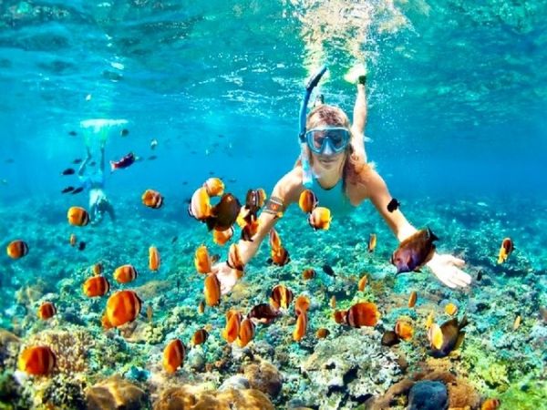 Nha Trang Spearfishing Tour