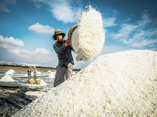 Nha Trang To Vinh Hy Day Tour