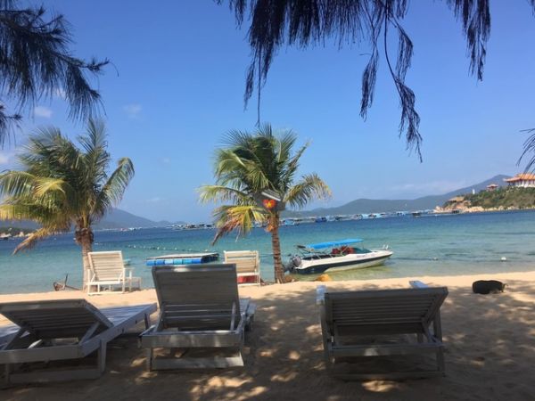 Private Diving Tour Explore Van Phong Bay Coral Reef