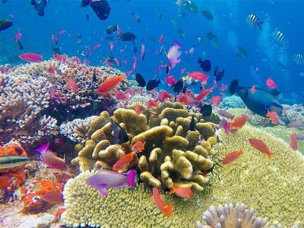 Private Nha Trang Diving Tour