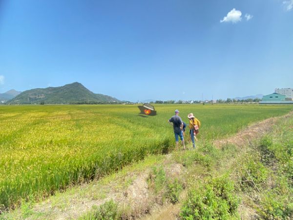 Nha Trang Highlight Tour