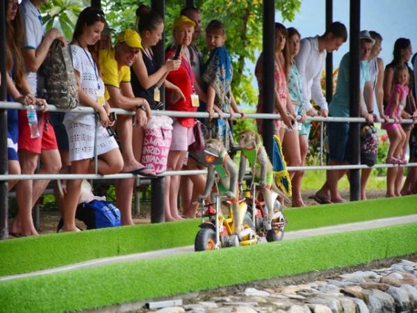 Private Tour Monkey Island And Ba Ho Waterfall Nha Trang