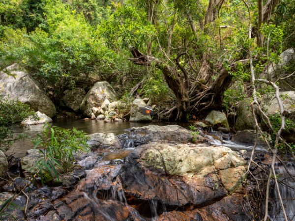 Nui Chua National Park