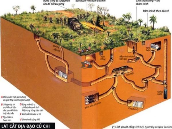 Private Tour Cu Chi Tunnels From Phu My Port