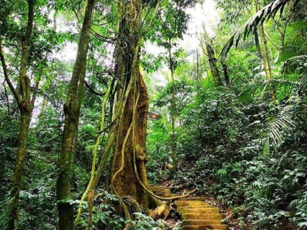 Cuc Phuong National Park Vietnam