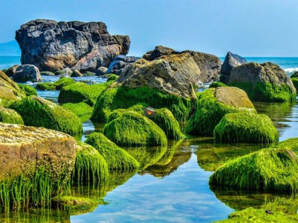 Free Entrance Beaches In Danang