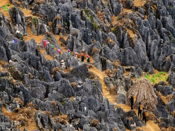 4 Days Ha Giang Loop Tour