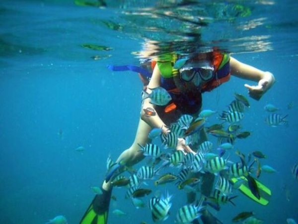 Things To See In Nha Trang