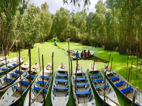 Private Tour To Mekong Delta From Phu My Port