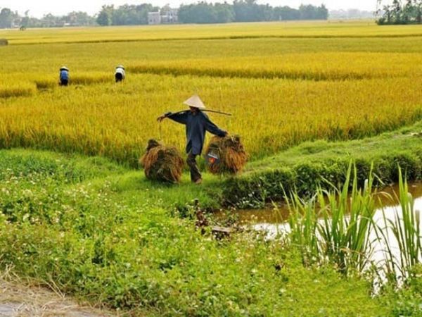 Nha Trang Countryside Sightseeing
