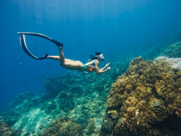 Vietnam Snorkeling And Scuba Diving