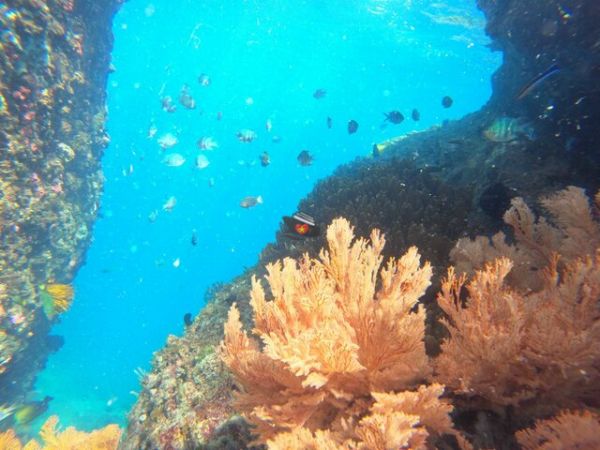 Nha Trang Freediving