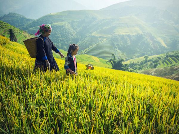 7 Days Northern Vietnam Tour From Hanoi