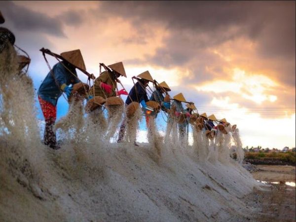 Things To Do In Phan Rang
