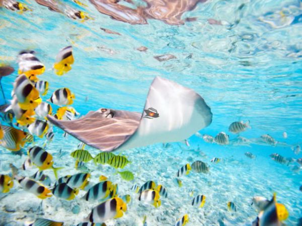Ray Beach Nha Trang