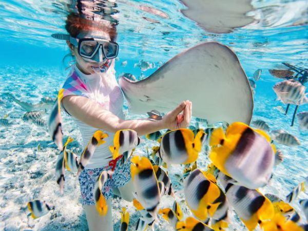 Nha Trang Private Snorkeling Tour At Ray Beach