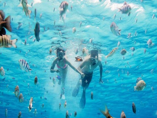 Vietnam Shore Excursions Tour 2025