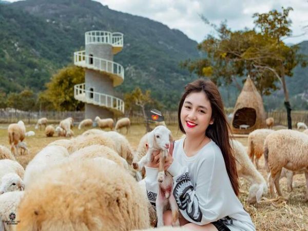 The Suoi Tien Sheep Farm Cam Ranh
