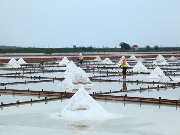 Top Salt Fields In Vietnam Central Coast