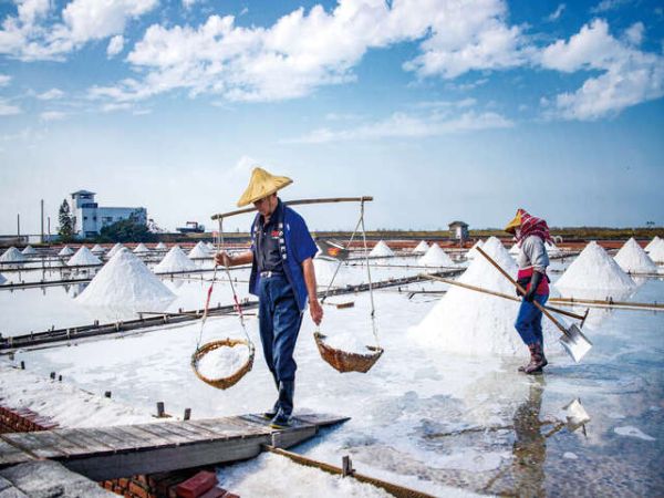 Top Salt Fields In Vietnam Central Coast