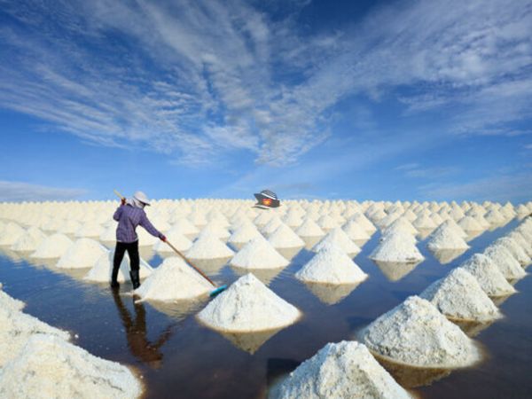 Top Salt Fields In Vietnam Central Coast