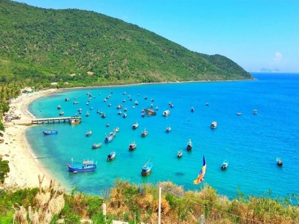 Private Diving Tour Explore Van Phong Bay Coral Reef