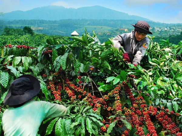 Vietnam Budget Travel 15 Days Tour From Hanoi