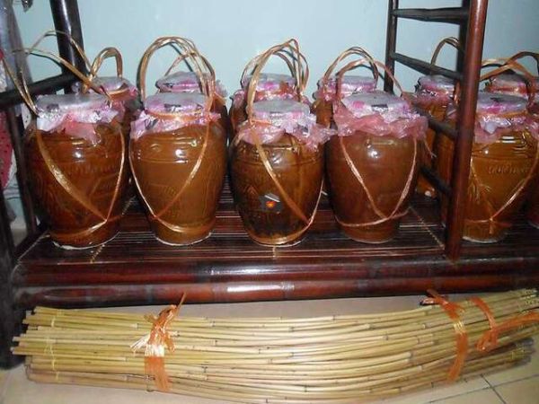 Vietnam Central Highlands Travel Guide