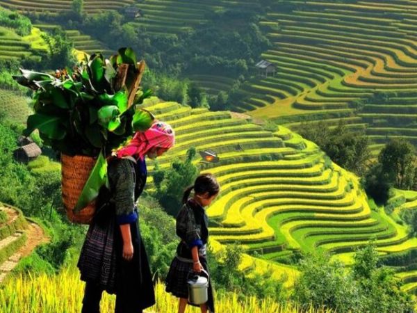 Vietnam Itinerary 5 Days