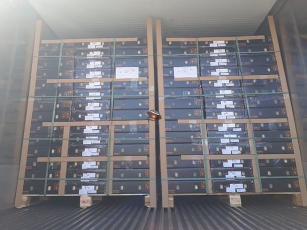 Mango Export From Vietnam