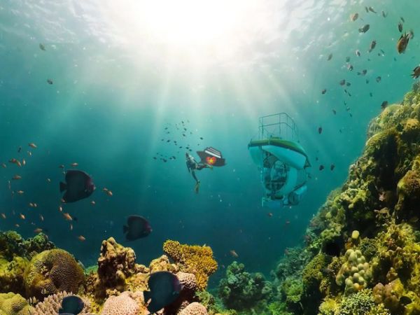 Vietnam Snorkeling And Scuba Diving