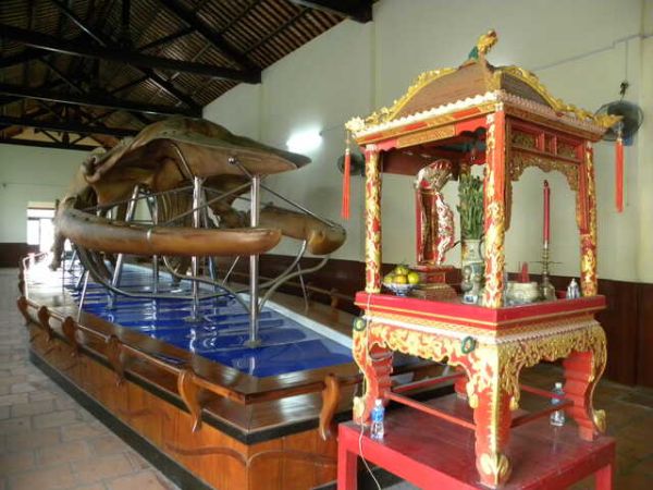 Whale Temple Vung Tau
