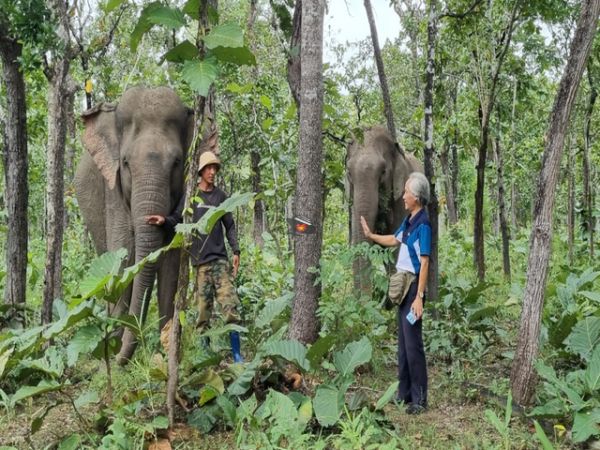 Yok Don National Park Vietnam