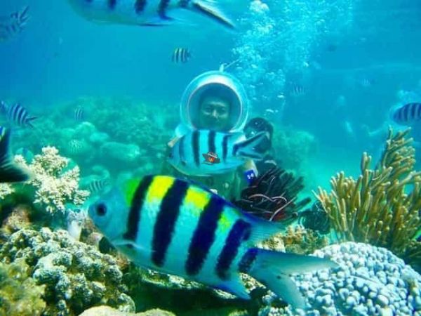 Nha Trang Island Sea Walking Tour