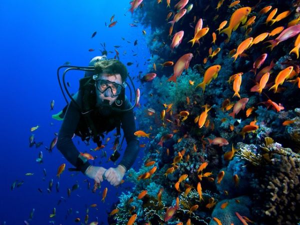 Nha Trang Bay Day Tour