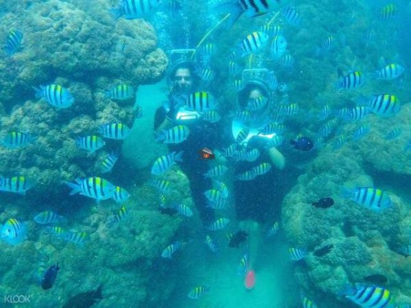 Nha Trang Sea Walking Tour