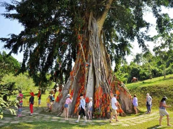 Nha Trang Yangbay Waterfall Tour